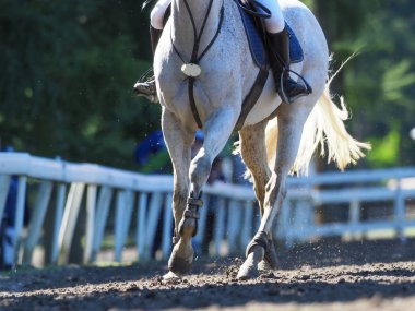 Binicilik yaz Japonya