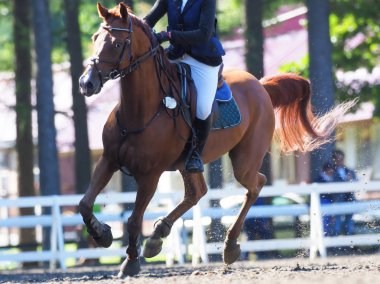 Binicilik yaz Japonya