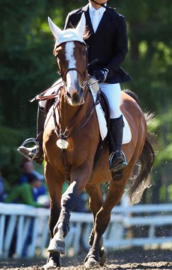 Binicilik yaz Japonya