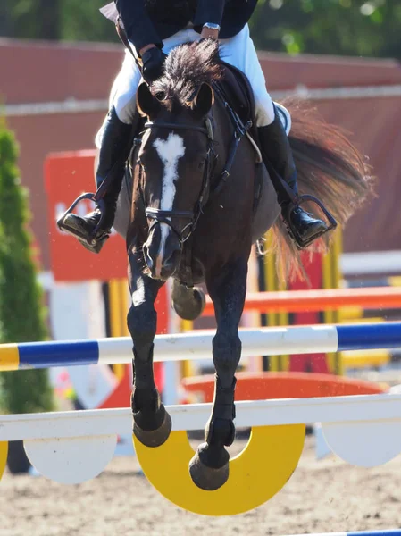 Binicilik yaz Japonya