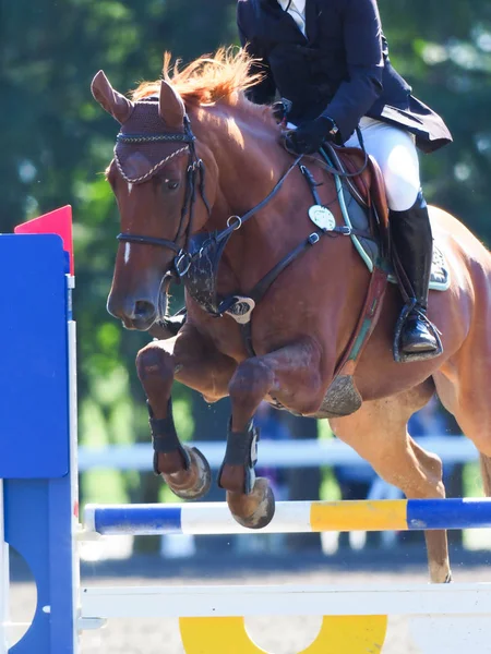 Binicilik yaz Japonya