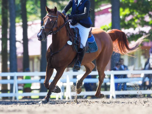 Binicilik yaz Japonya