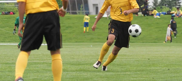 Fútbol Japón — Foto de Stock