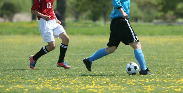 Fútbol Japón — Foto de Stock