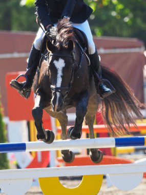 Binicilik bahar Japonya