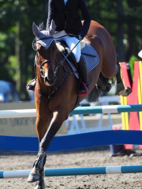 Binicilik bahar Japonya