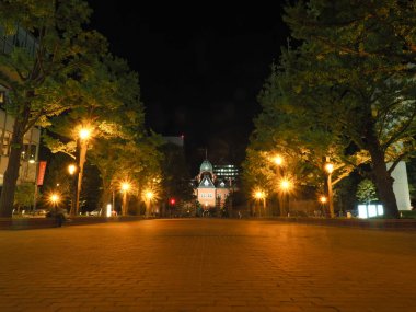 Sapporo devlet binası