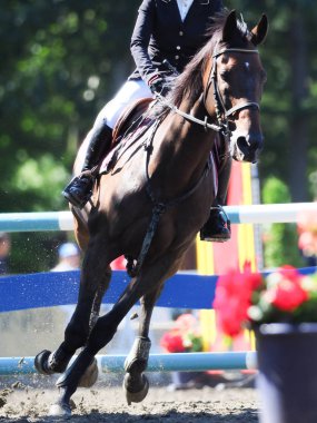 Binicilik bahar Japonya