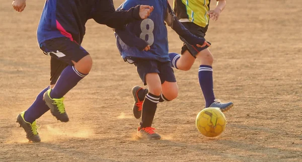 Japonya Futbol Antrenmanı — Stok fotoğraf