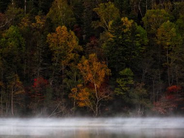 sonbahar manzarada hokkaido