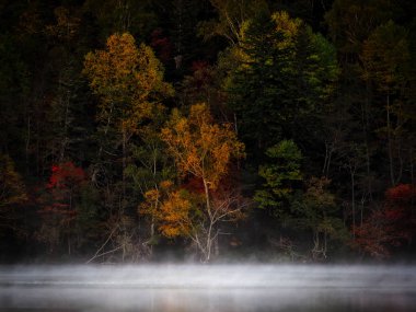 sonbahar manzarada hokkaido