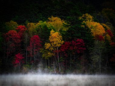 sonbahar manzarada hokkaido
