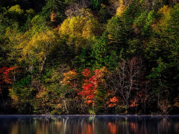 Paysage Automne Hokkaido — Photo