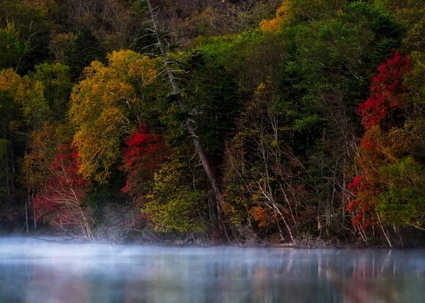 Paisagem Outono Hokkaido — Fotografia de Stock