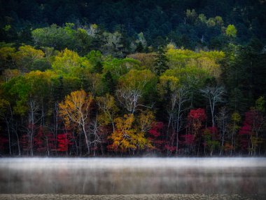 sonbahar manzarada hokkaido