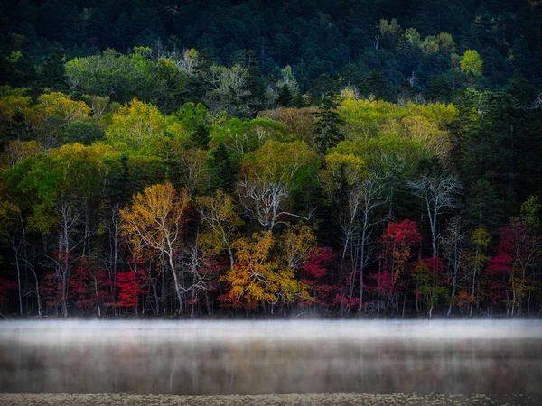 sonbahar manzarada hokkaido