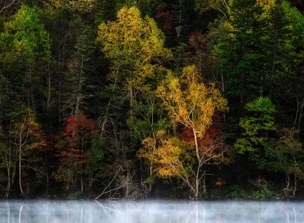 Paesaggio Autunno Hokkaido — Foto Stock