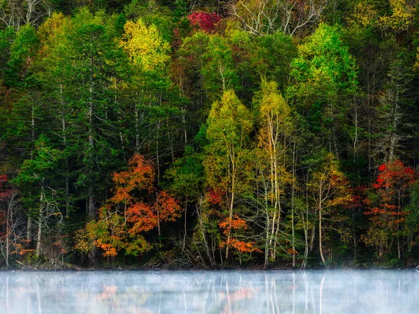 sonbahar manzarada hokkaido