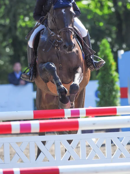 equestrian event in Japan