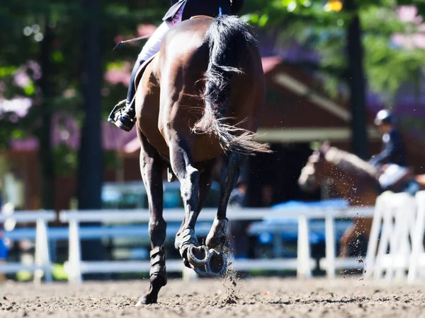 Reitturnier Japan — Stockfoto