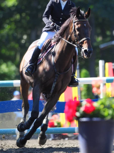 equestrian event in Japan