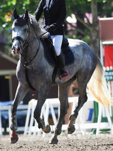 Japonya'da binicilik olay