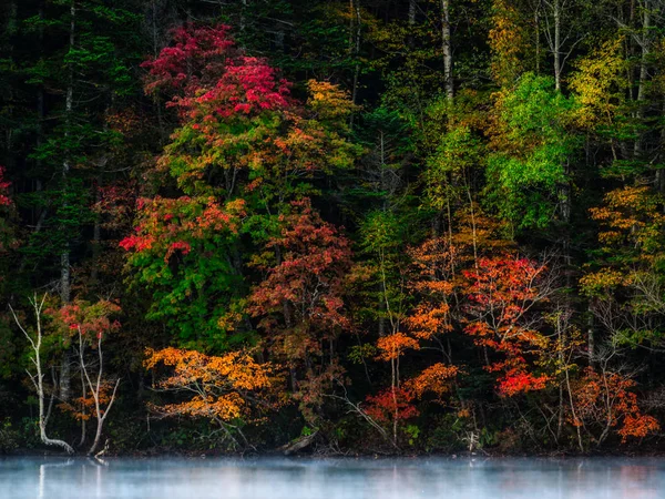 Paesaggio Autunno Hokkaido — Foto Stock