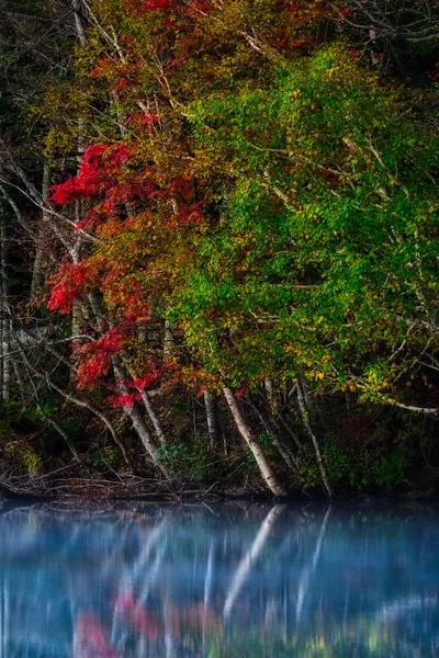 sonbahar manzarada hokkaido