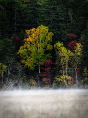 sonbahar manzarada hokkaido