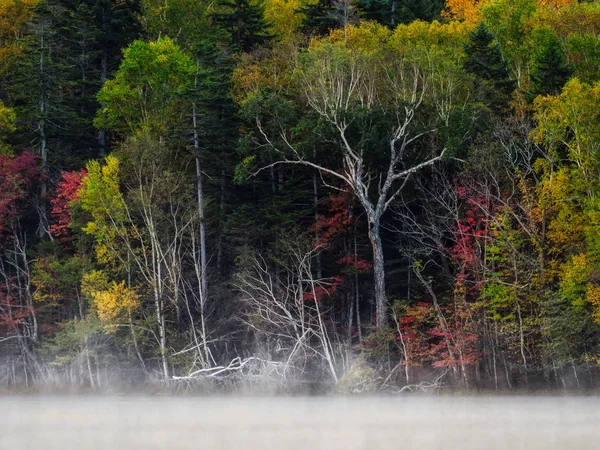 sonbahar manzarada hokkaido