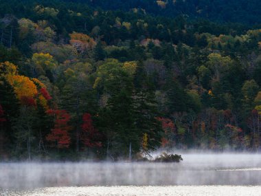 sonbahar manzarada hokkaido