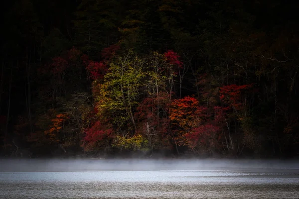 Paisagem Outono Hokkaido — Fotografia de Stock