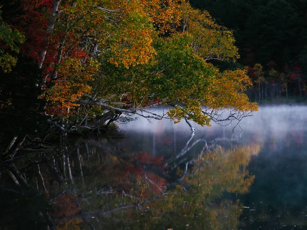 Paisaje Otoño Hokkaido — Foto de Stock