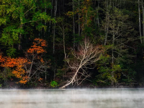 sonbahar manzarada hokkaido