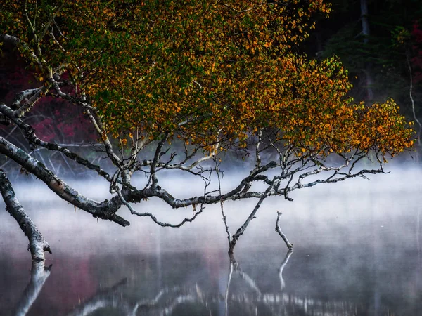 Krajobraz Jesieni Hokkaido — Zdjęcie stockowe