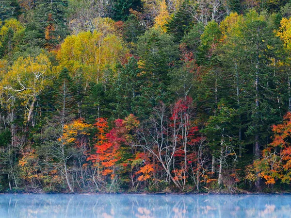 sonbahar manzarada hokkaido