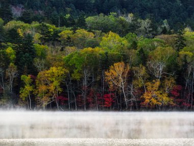 sonbahar manzarada hokkaido