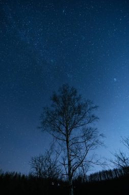gece gökyüzünde hokkaido