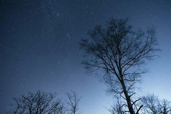 Cielo Nocturno Hokkaido — Foto de Stock