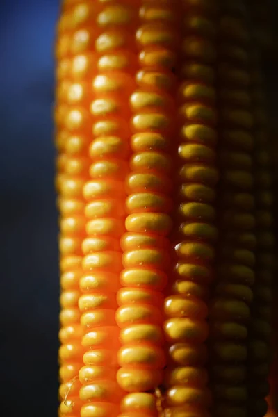 Corn Black Background — Stock Photo, Image