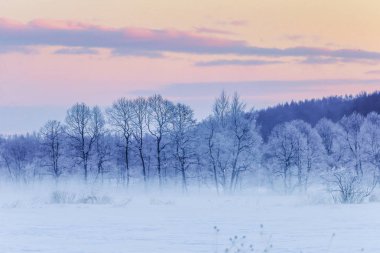 Kış hokkaido manzara