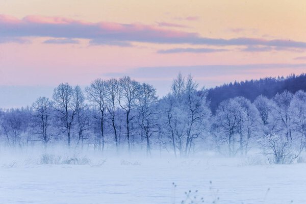ландшафт зимой hokkaido
