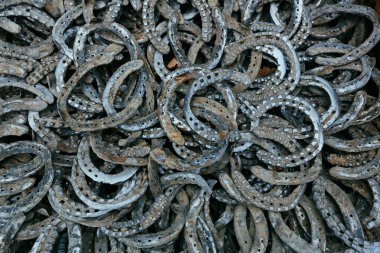 bir sürü at Ayakkabı