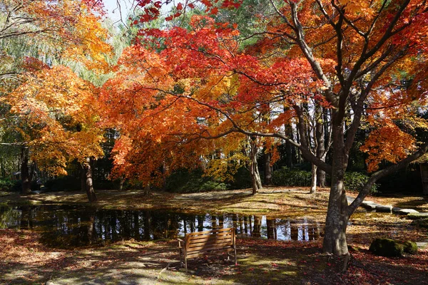 Japonya'da sonbahar manzara