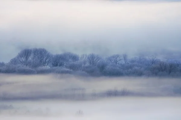 Ландшафт Зимой Hokkaido — стоковое фото