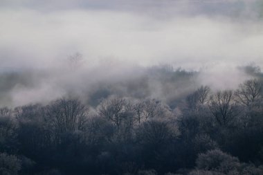 Kış hokkaido manzara