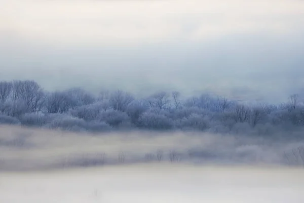 Landscape Winter Hokkaido — Stock Photo, Image
