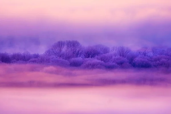 Landscape Winter Hokkaido — Stock Photo, Image