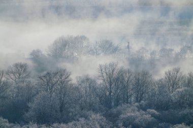 Kış hokkaido manzara