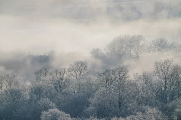 Kış hokkaido manzara